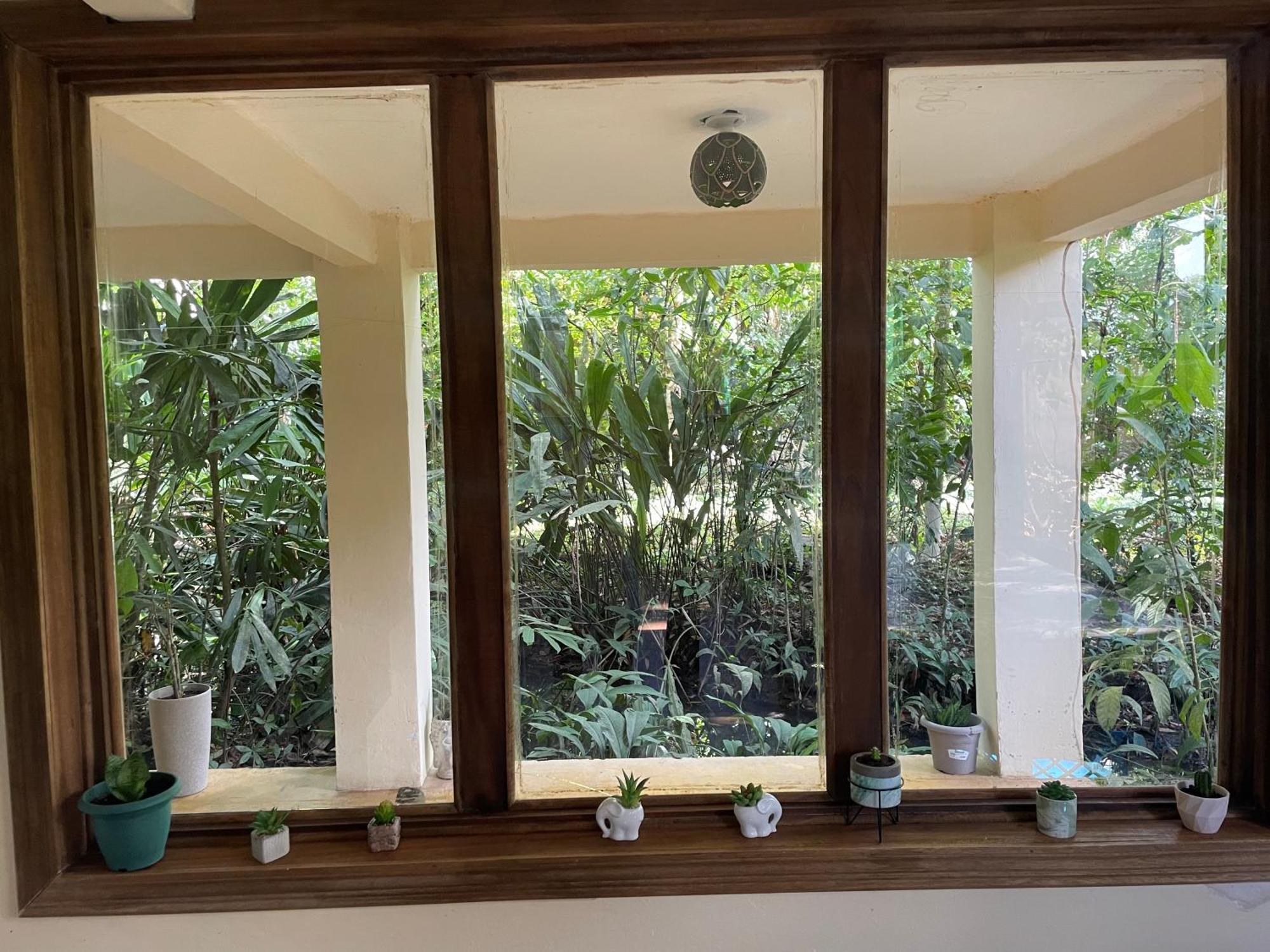 Villa Casa Jaguar Tortuguero Extérieur photo