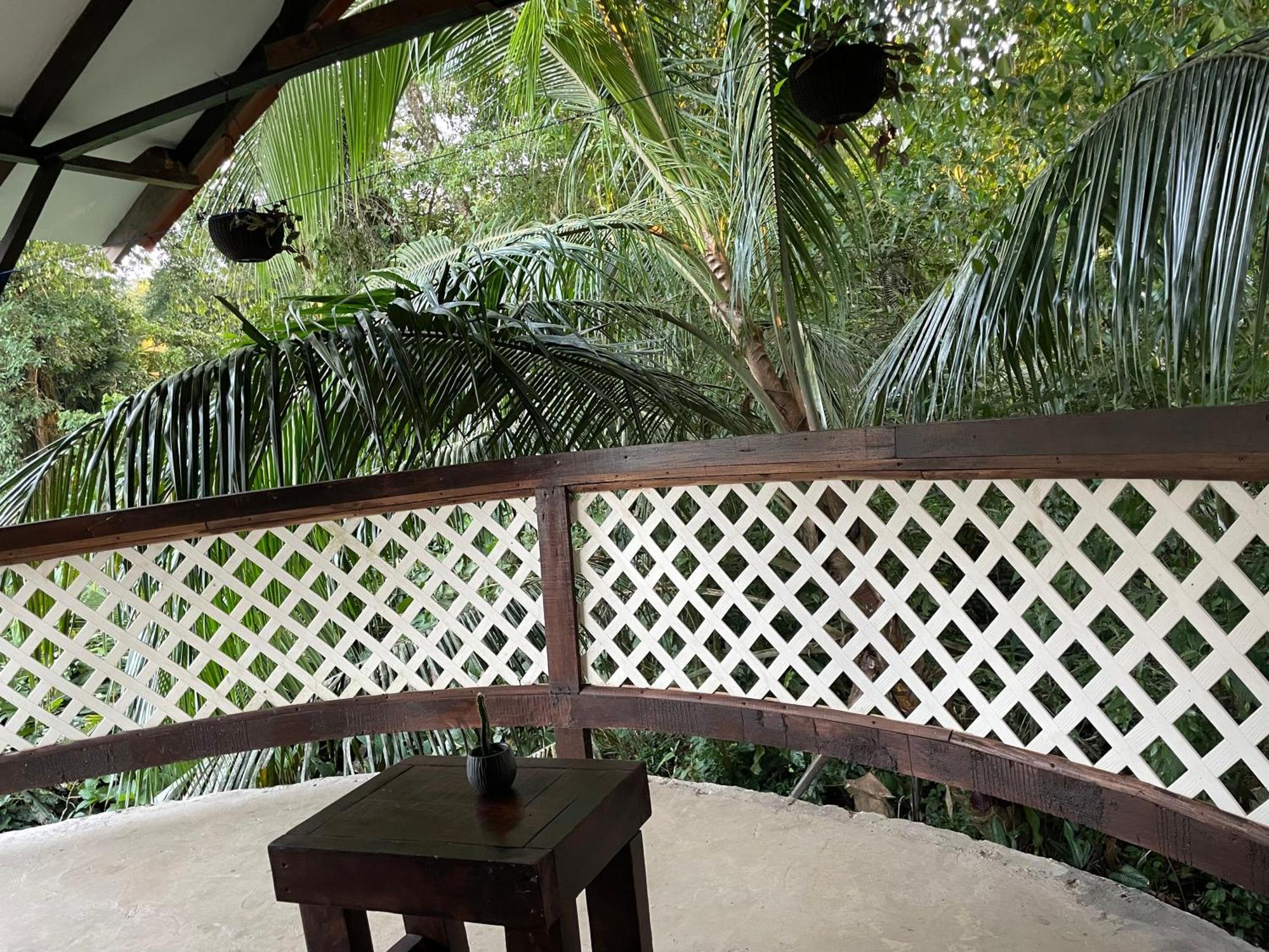 Villa Casa Jaguar Tortuguero Extérieur photo