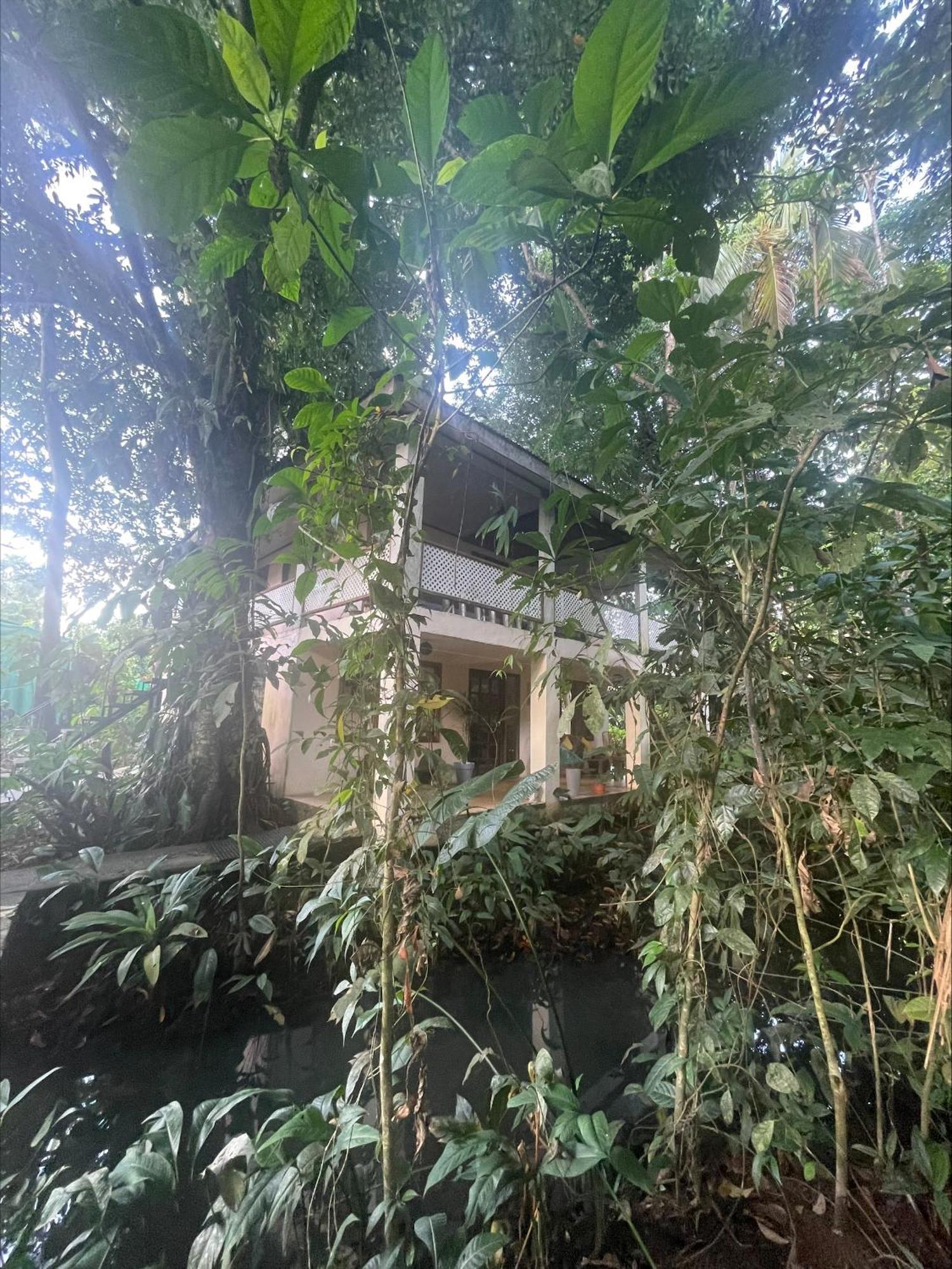 Villa Casa Jaguar Tortuguero Extérieur photo