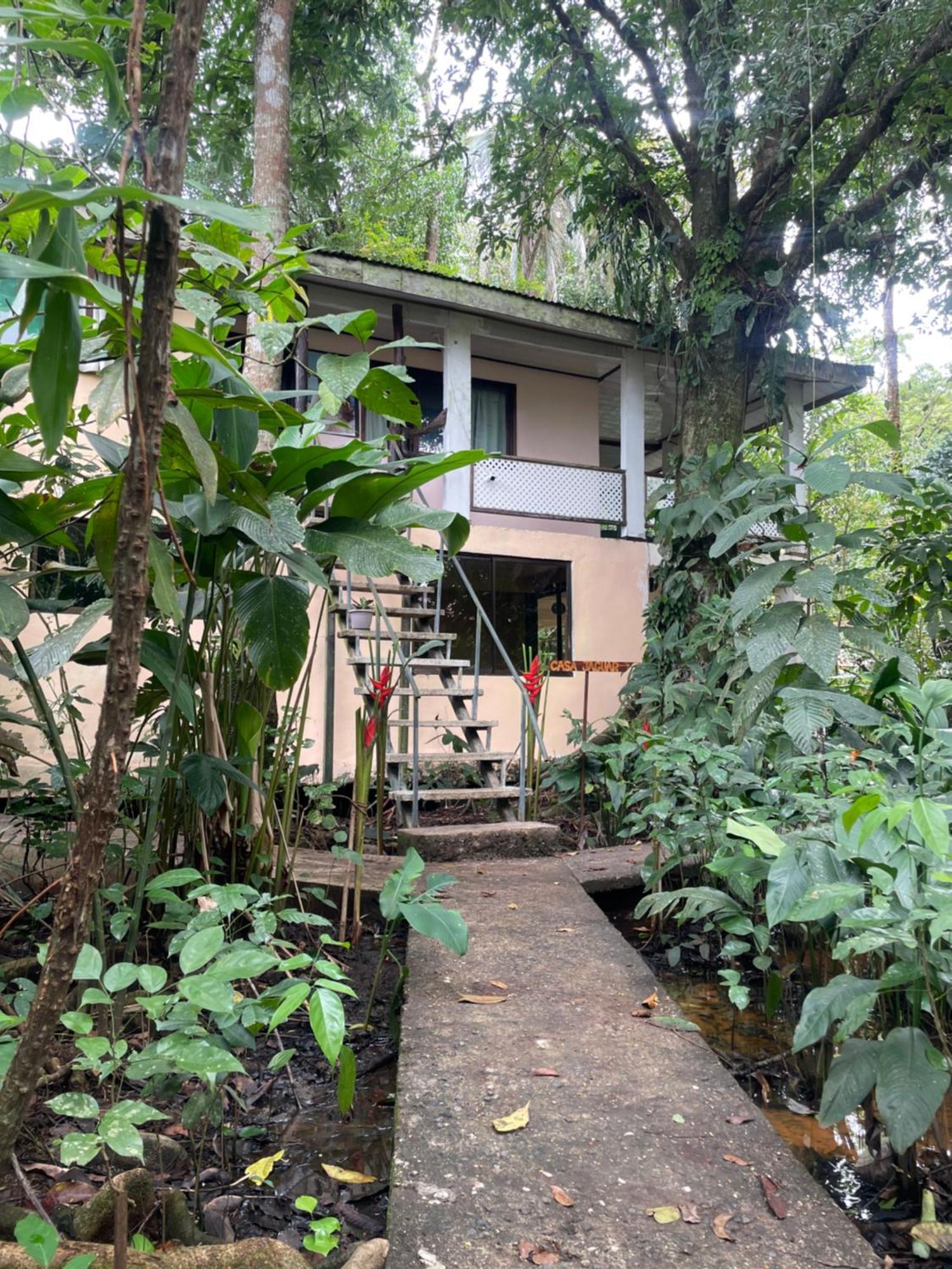 Villa Casa Jaguar Tortuguero Extérieur photo