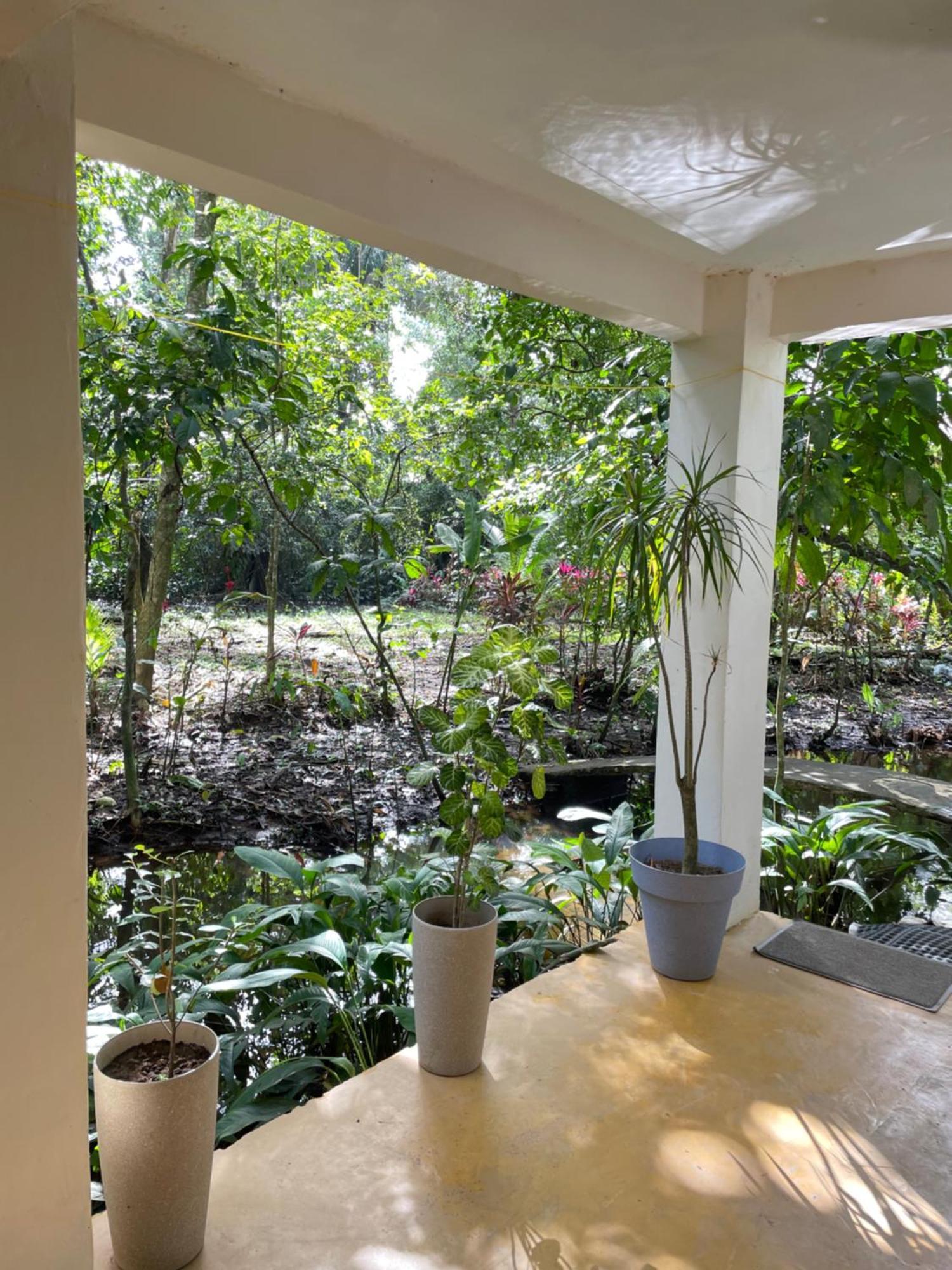 Villa Casa Jaguar Tortuguero Extérieur photo
